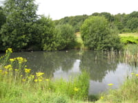 'We must work with nature, not against it'