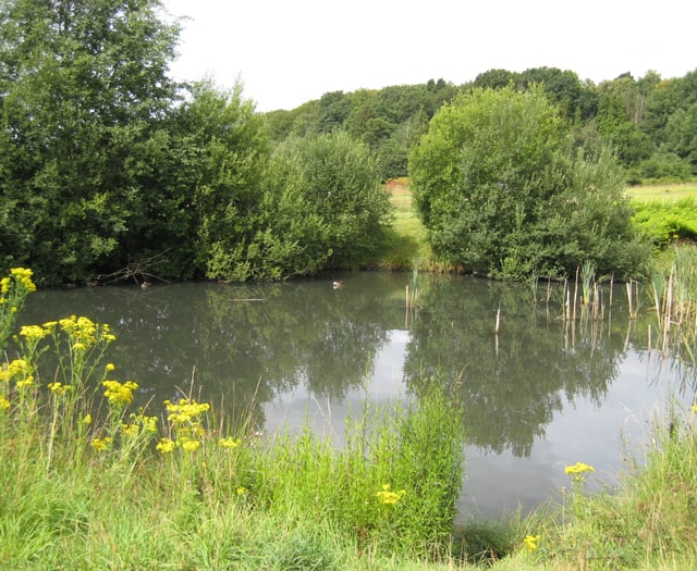 'We must work with nature, not against it'