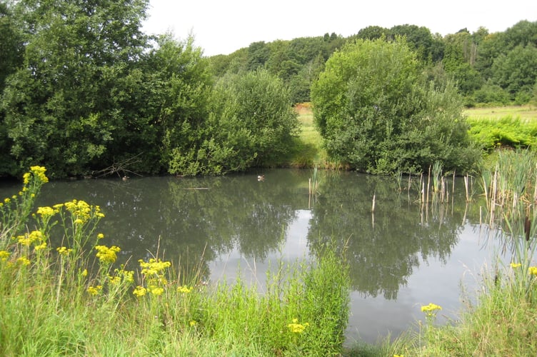 View of Brookwood Country Park