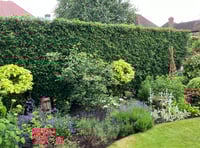 Horsell Garden Safari and FWCH raise money for charity