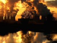 Air pollution causes more than one in 20 deaths in Woking