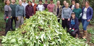 WEAct takes part in Great Big Green Week