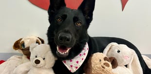 Jaxon finds home after two years of waiting  