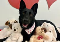 Jaxon finds home after two years of waiting