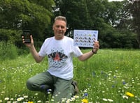 Can you help with Big Butterfly Count?