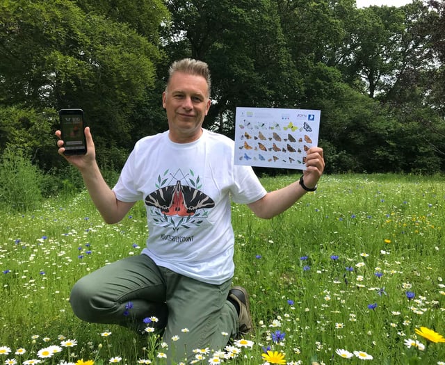 Can you help with Big Butterfly Count?