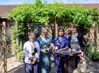 Community Hospital blooms in annual garden competition
