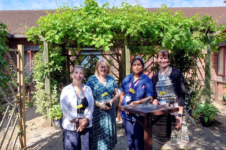 Courtyard garden at Woking Community Hospital