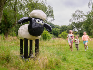 Baa-rilliant summer events at RHS Garden 