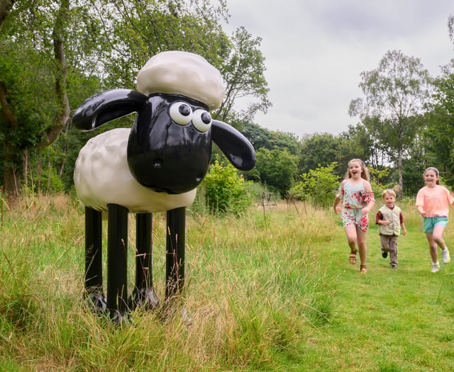 Baa-rilliant summer events at RHS Garden 