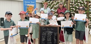 Garden centre helps Horsell pupils harvest potatoes 