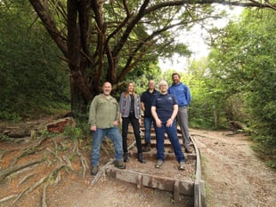 Milk bottle tops used in green rebuilding of Box Hill steps