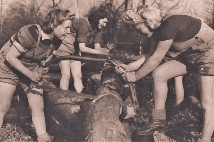 The Women’s Timber Corps