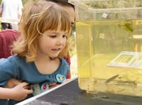 Take the family on a free fun day of nature activities