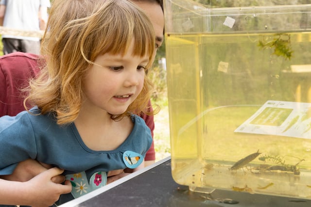 Take the family on a free fun day of nature activities