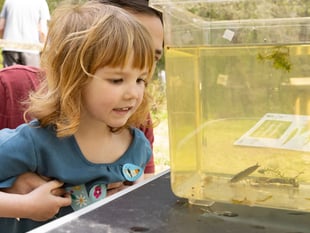Take the family on a free fun day of nature activities