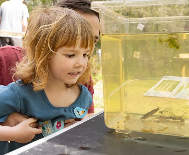 Take the family on a free fun day of nature activities