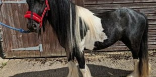 Can you give a home that is in tune with a Cob called Verdi?