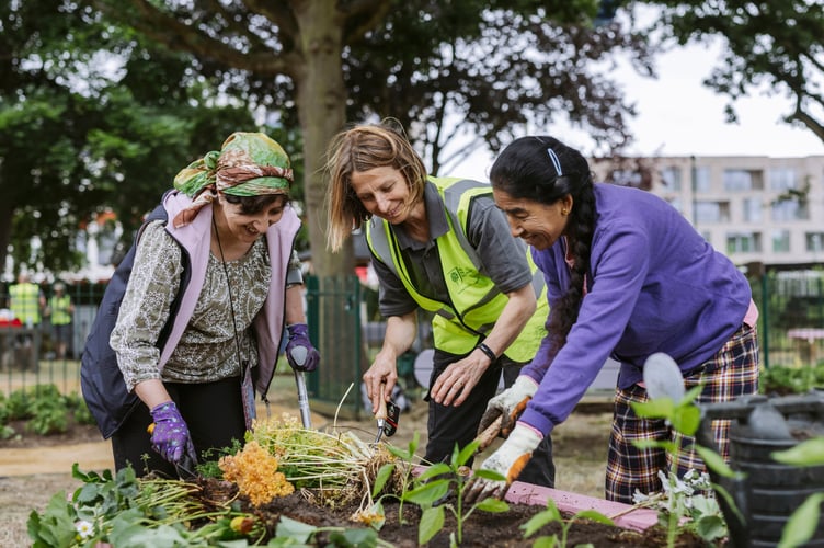 ShopWise RHS garden