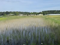 Funding boost for biodiversity at Surrey nature reserve