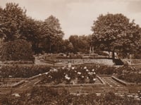 Camera obscure: the strange sights captured in postcards