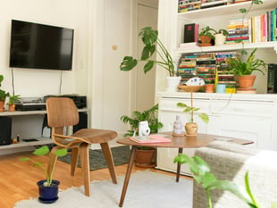Expert reveals top tips to boost your property value on a budget 