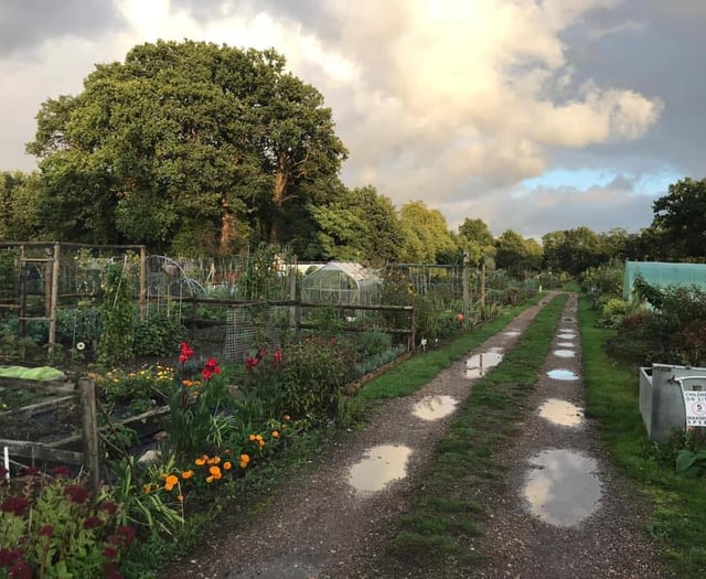 Have a fun day out at Derry's Field Allotments open day