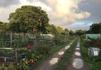 A Derry good day out as Old Woking allotments opens to public