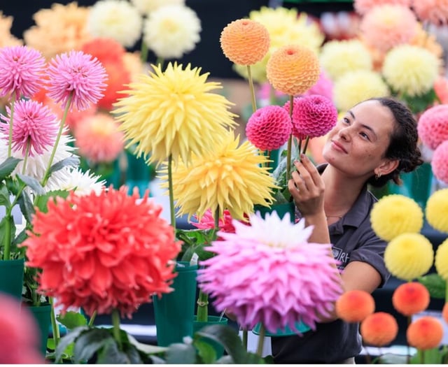 Annual flower show is set to burst into bloom