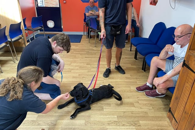 Camberley Woods pawsitively brightens RSPCA Millbrook