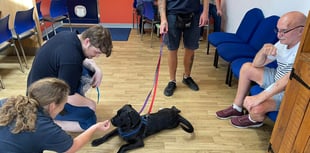 Camberley Woods pawsitively brightens RSPCA Millbrook