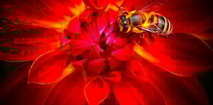 Hospital staff's photos focus on nature