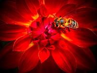 Hospital staff's photos focus on nature