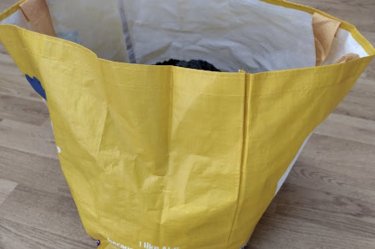 The puppies were found in an Aldi bag in woods off Hare Hill in Addlestone