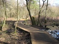 Visit Fleet Pond for rich diversity of wildlife