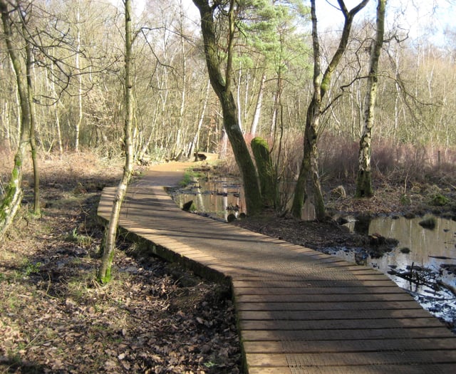 Visit Fleet Pond for rich diversity of wildlife