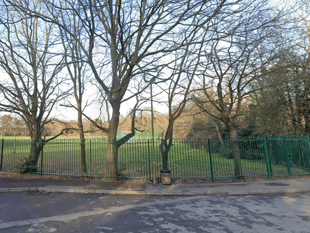 Witness appeal after man arrested for outraging public decency