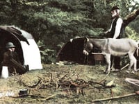 Victorian teacher recalls years with Chobham Gypsies