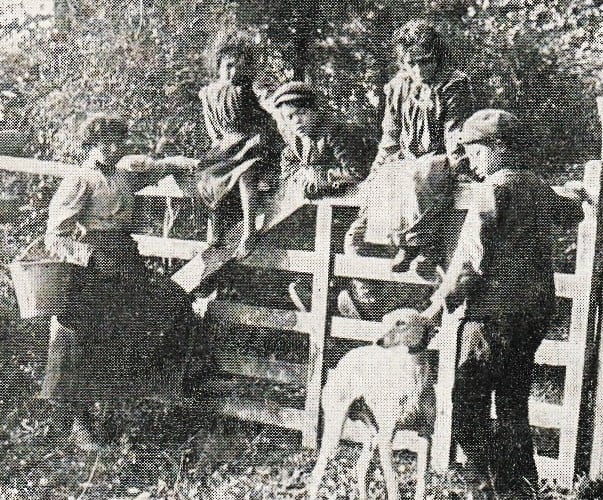 Postcard of Gypsy children