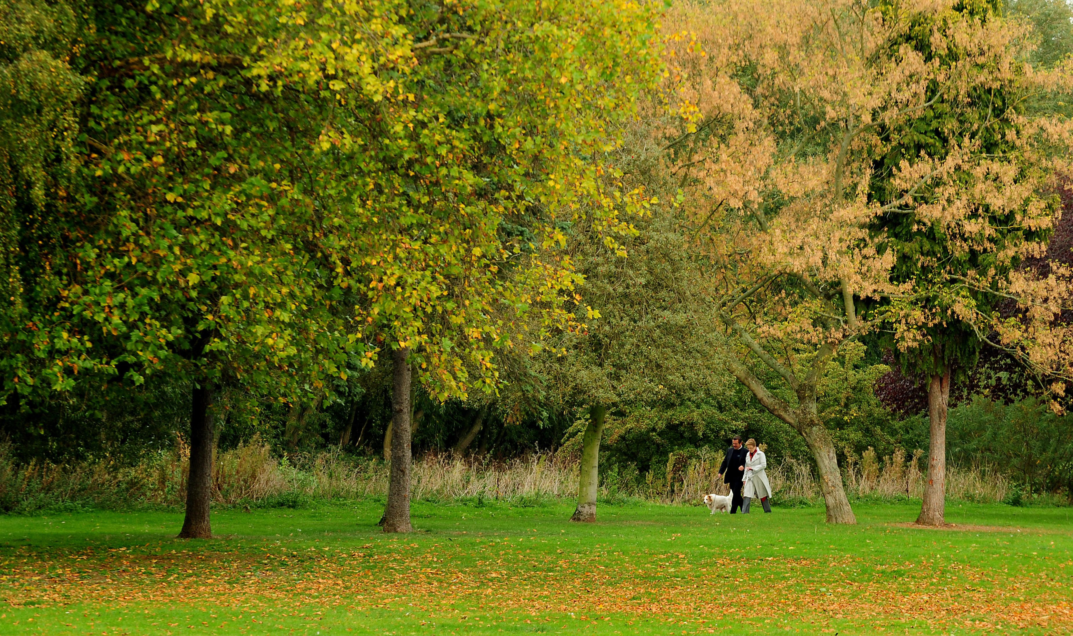 Access to green space in Woking one of the best in South East