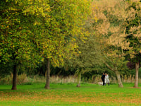 Access to green space in Woking one of the best in South East