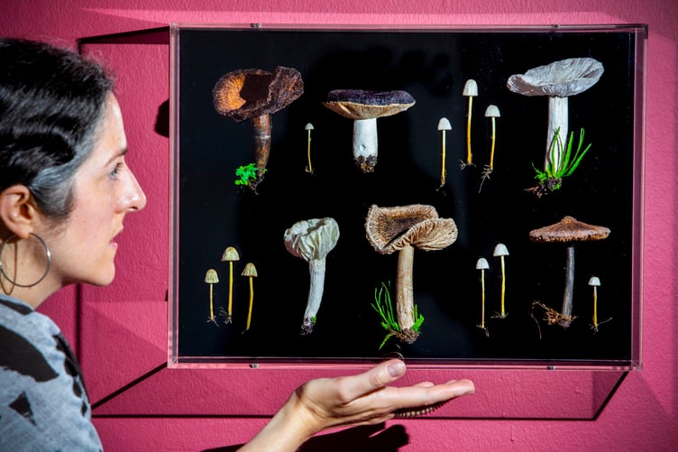 The exhibition runs until December