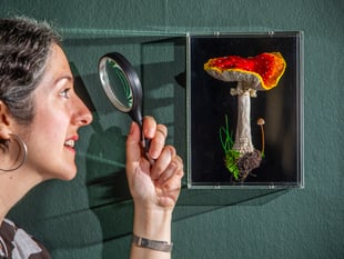 Surrey artist creates incredible life-like embroidered mushrooms