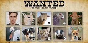 Network Rail unveils the country’s worst trespassing criminals