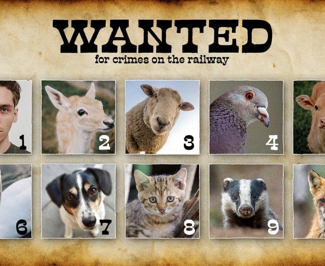 Network Rail unveils the country’s worst trespassing criminals