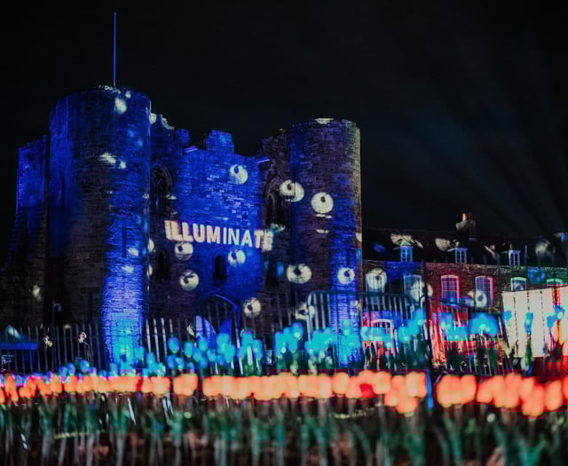 Get ready for Surrey's new winter light trail