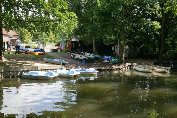 Basingstoke Canal 