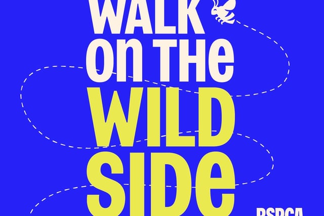 Walk on the Wild Side with RSPCA