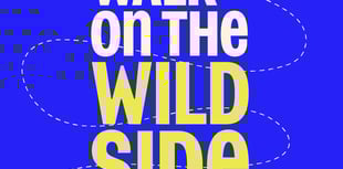 Walk on the Wild Side with RSPCA
