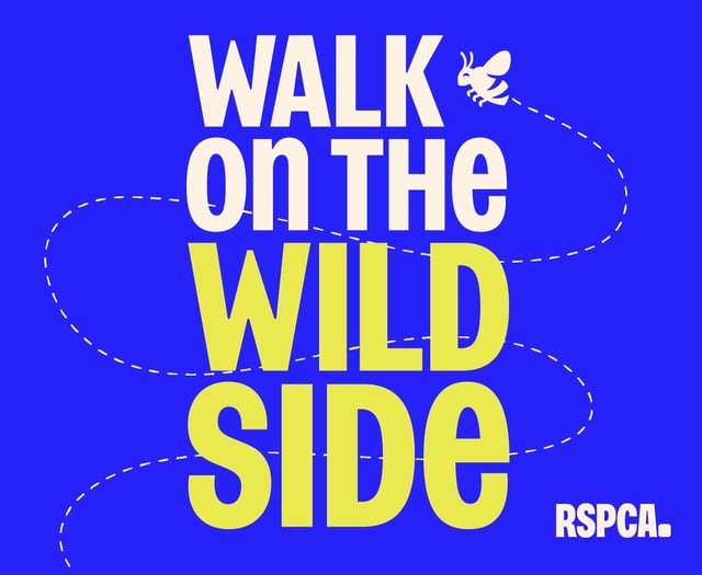 Walk on the Wild Side with RSPCA